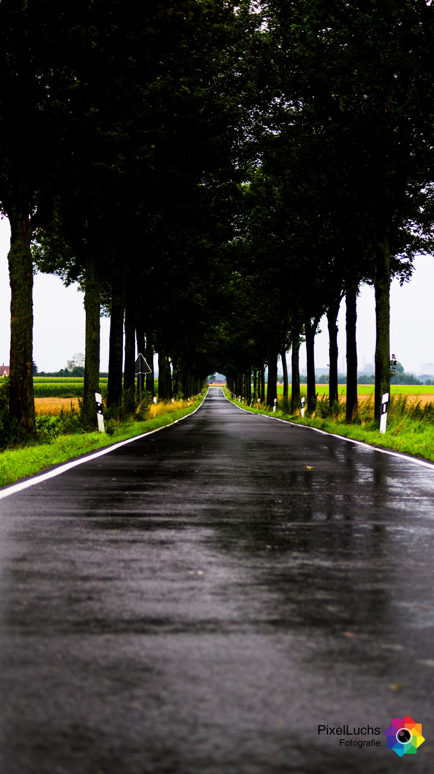 Verregnete Landstrasse (by PixelLuchs Fotografie)